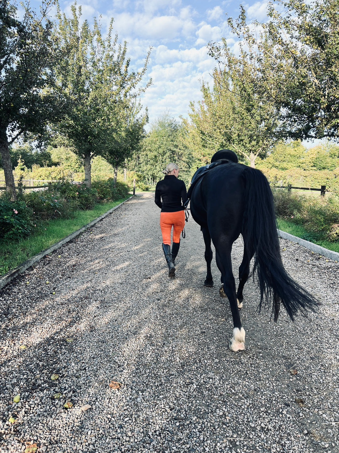 Elgorre Ridebukser Nr. 10 – Orange