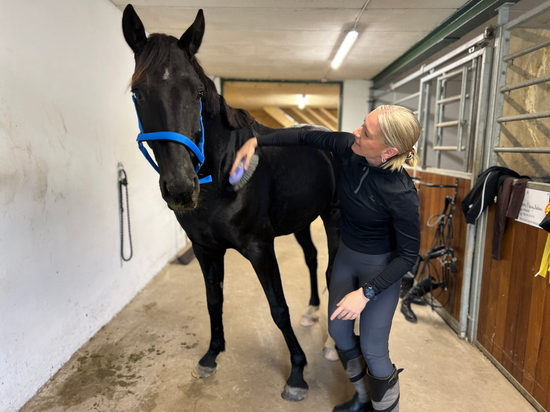 Elgorre Ridebukser Nr. 06 – Grå