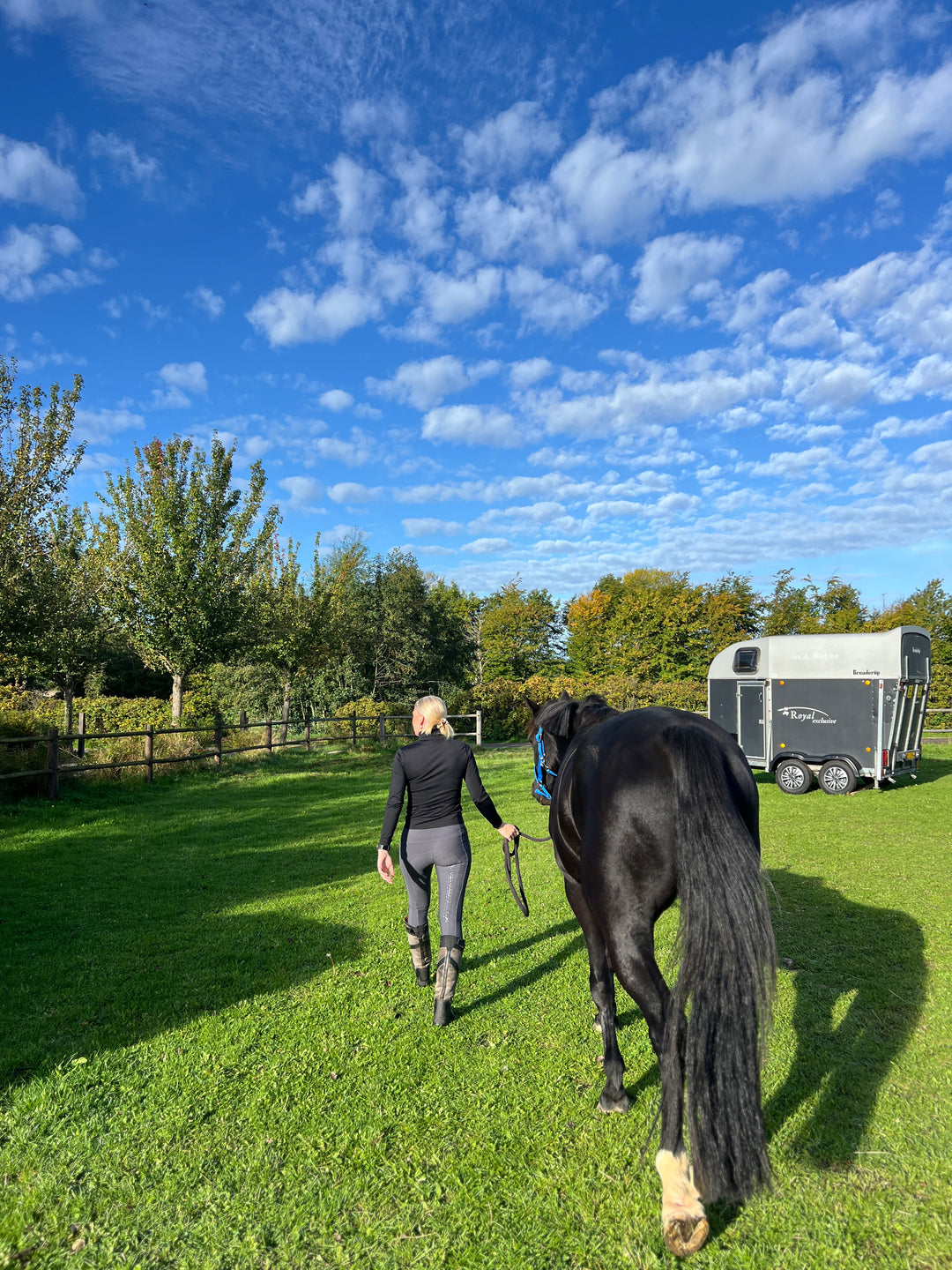 Elgorre Ridebukser Nr. 06 – Grå